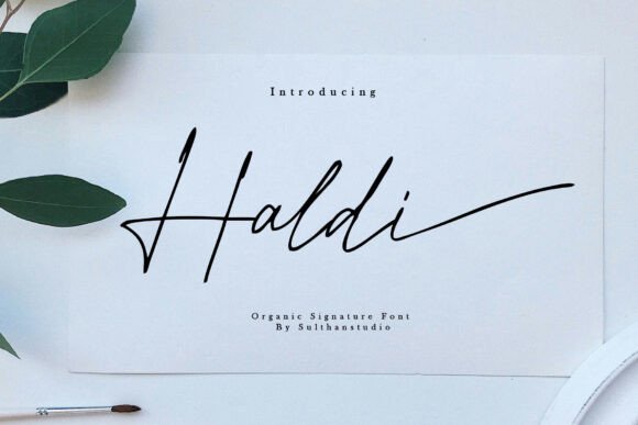 Designing with Haldi: A Font That Speaks Volumes
