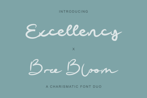 Excellency X Bree Bloom Font for Web Design