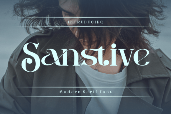 How Sanstive Transformed My Brand’s Visual Identity