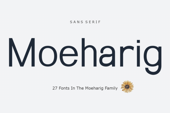 Moeharig: The Versatile Sans Serif Typeface for Modern Branding