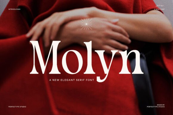 Molyn Modern Serif: A Designer's Review of a Premium Typeface
