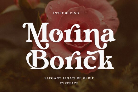 Morina Borick: The Elegant Serif Font for Modern Web Design