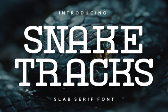 Snake Tracks: The Elegant Font for Handmade Labels and Signs