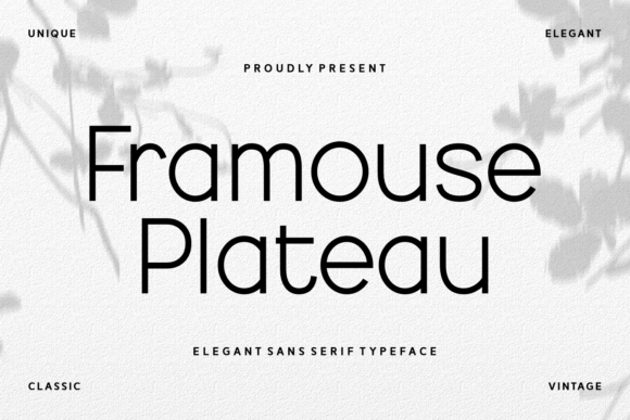 Why Framouse Plateau is the Perfect Sans Serif for Handmade Brands